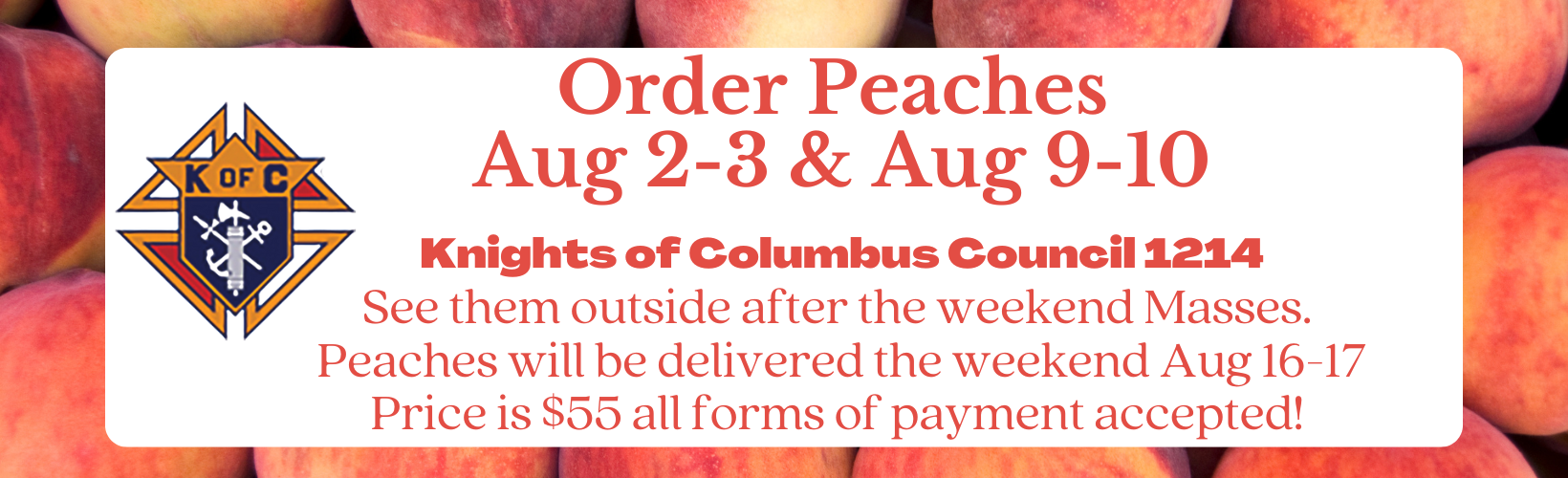 website announcements (13)