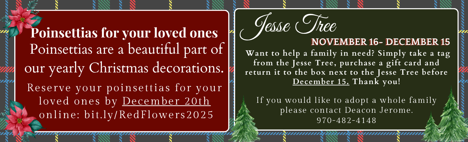 website announcements (12)