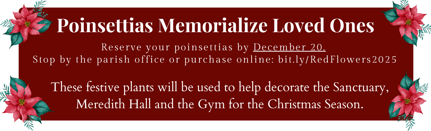 website announcements (17)