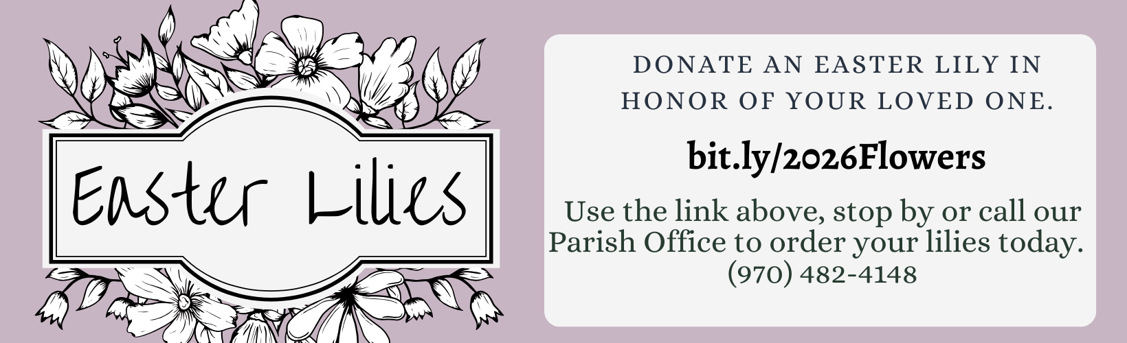 website announcements (4)