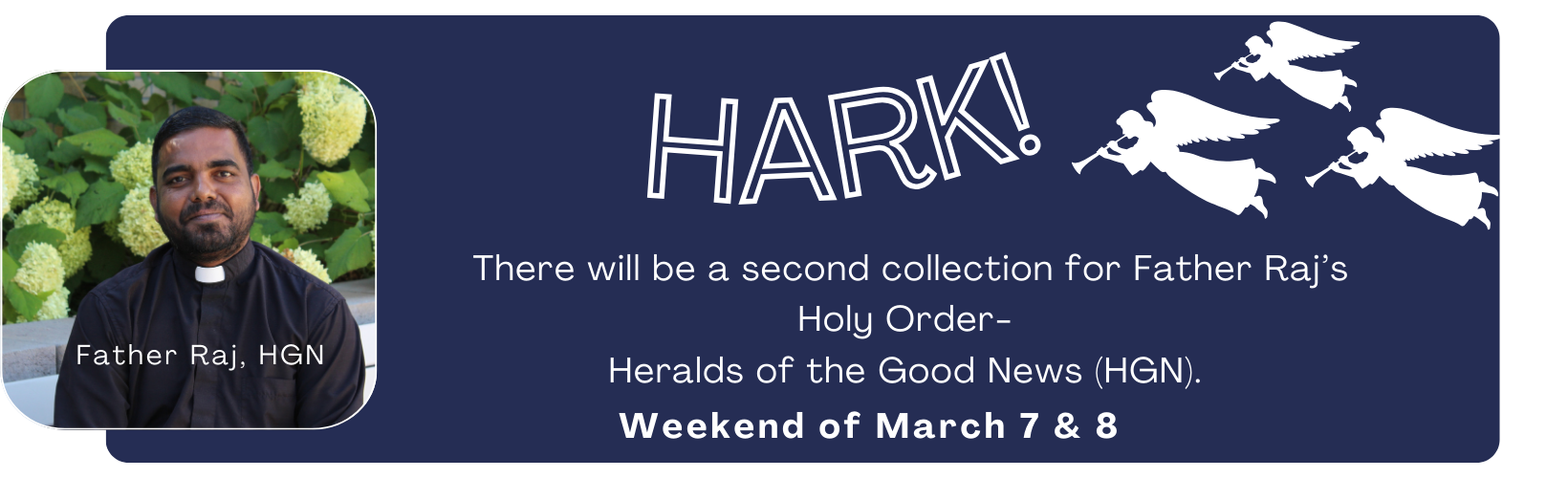 website announcements (51)