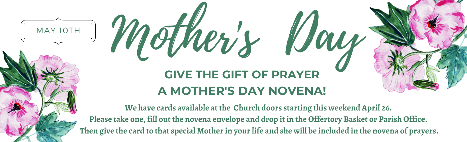 website announcements (42)