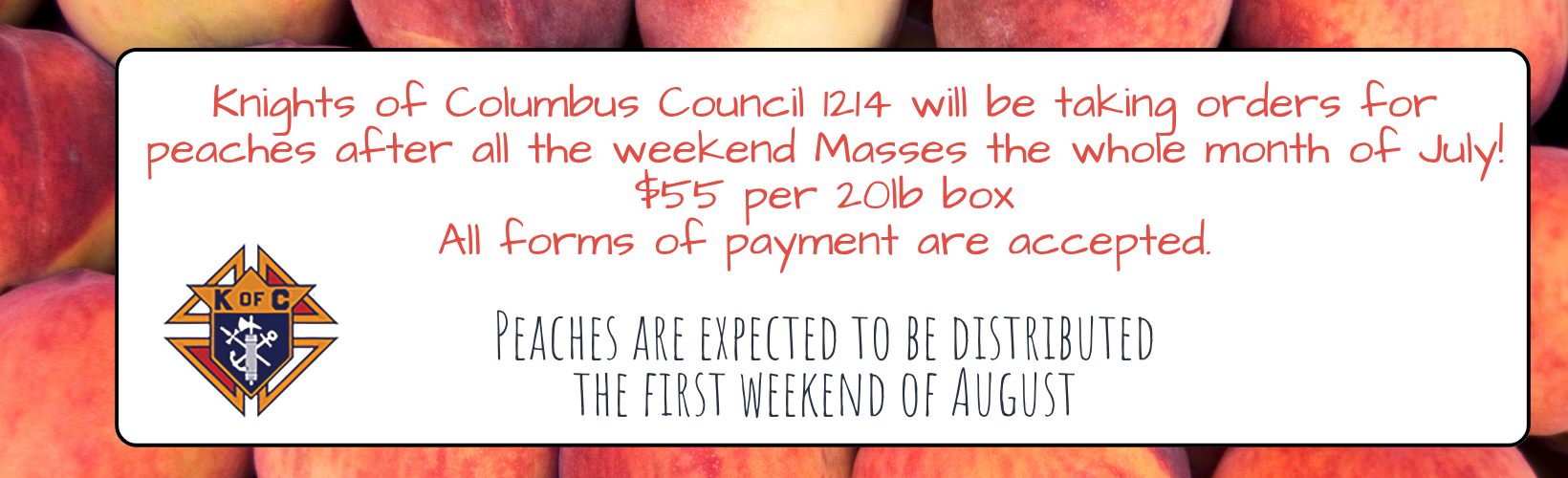 website announcements (4)